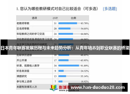 日本青年联赛发展历程与未来趋势分析：从青年培养到职业联赛的桥梁